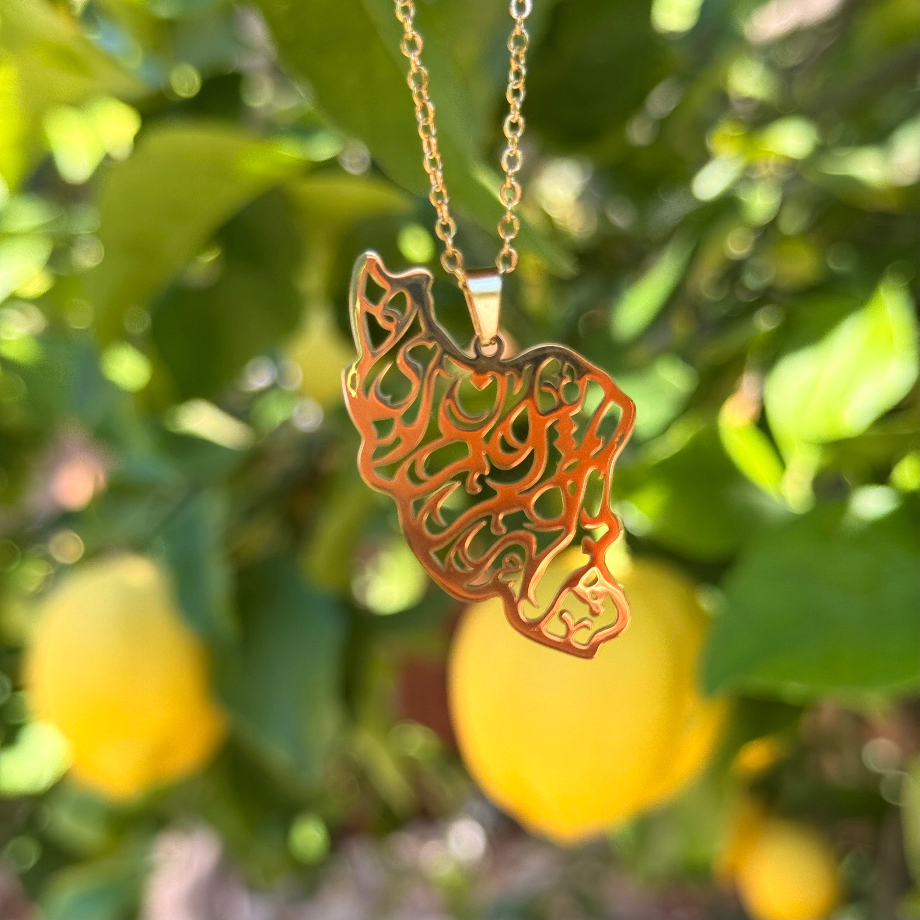 Iran Map Necklace